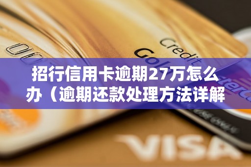 招行信用卡逾期27万怎么办（逾期还款处理方法详解）