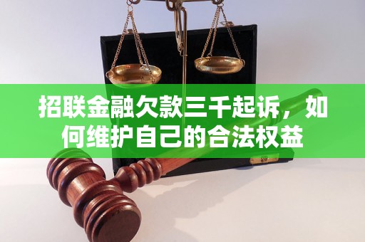 招联金融欠款三千起诉，如何维护自己的合法权益