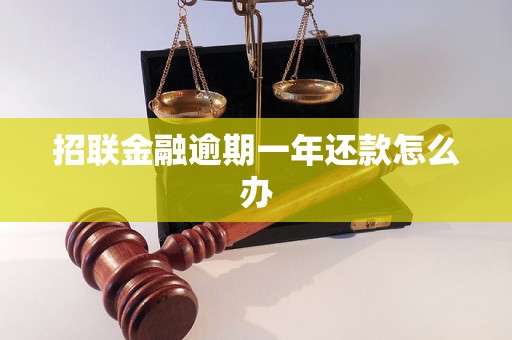 招联金融逾期一年还款怎么办