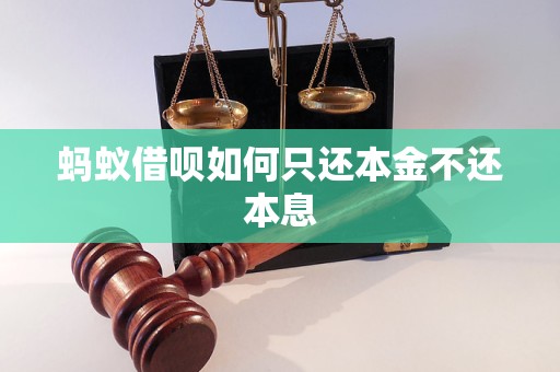 蚂蚁借呗如何只还本金不还本息