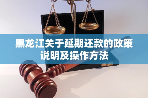 黑龙江关于延期还款的政策说明及操作方法