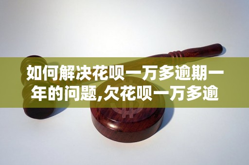 如何解决花呗一万多逾期一年的问题,欠花呗一万多逾期一年应该怎么办