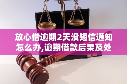 放心借逾期2天没短信通知怎么办,逾期借款后果及处理方法