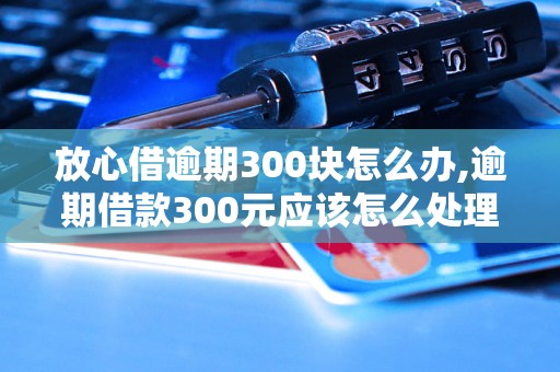 放心借逾期300块怎么办,逾期借款300元应该怎么处理