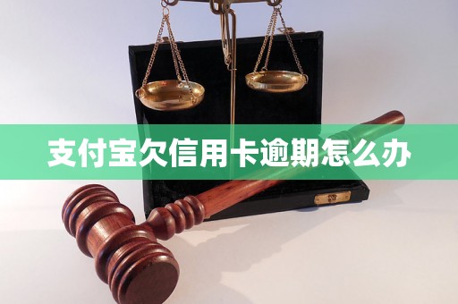 支付宝欠信用卡逾期怎么办