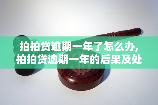 拍拍贷逾期一年了怎么办,拍拍贷逾期一年的后果及处理方法