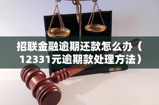 招联金融逾期还款怎么办（12331元逾期款处理方法）