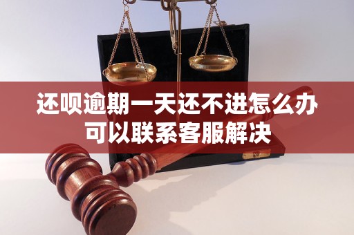 还呗逾期一天还不进怎么办可以联系客服解决