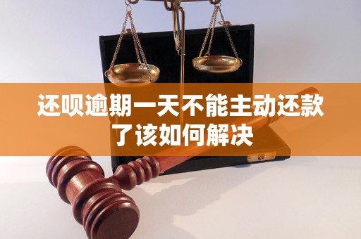 还呗逾期一天不能主动还款了该如何解决