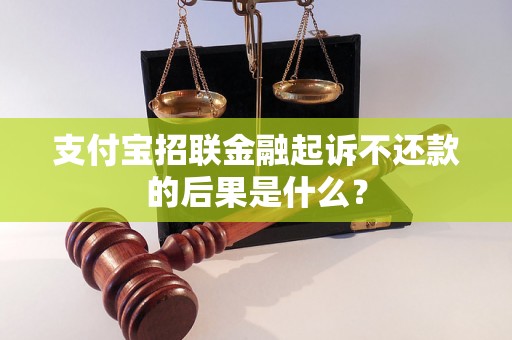 支付宝招联金融起诉不还款的后果是什么？