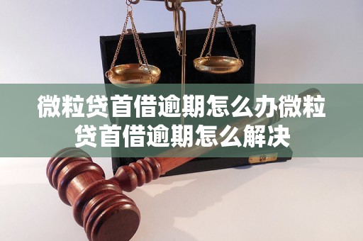 微粒贷首借逾期怎么办微粒贷首借逾期怎么解决