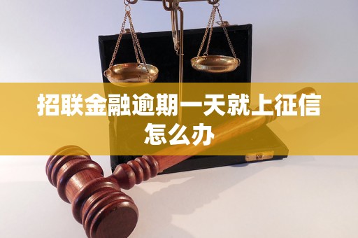 招联金融逾期一天就上征信怎么办