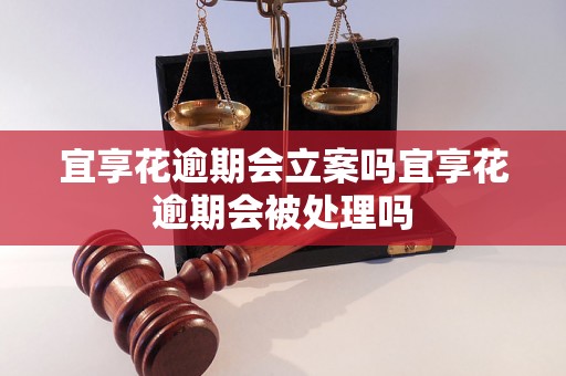 宜享花逾期会立案吗宜享花逾期会被处理吗