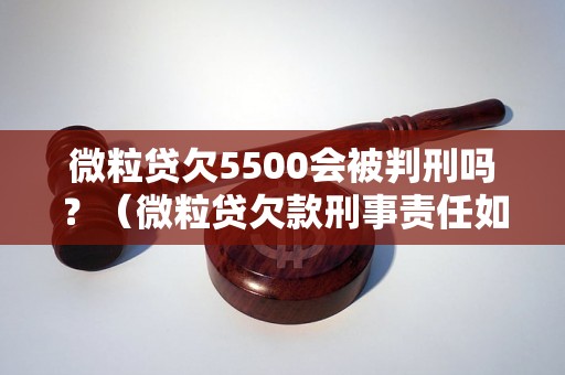 微粒贷欠5500会被判刑吗？（微粒贷欠款刑事责任如何处理）