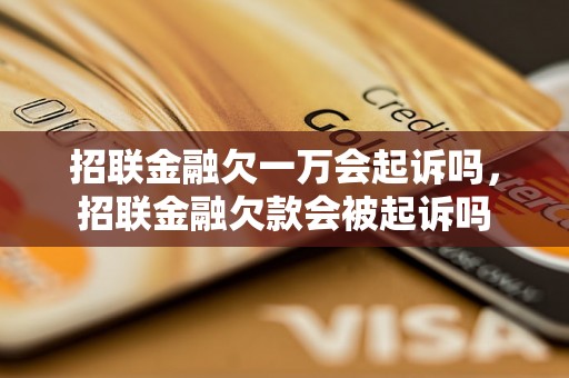 招联金融欠一万会起诉吗，招联金融欠款会被起诉吗