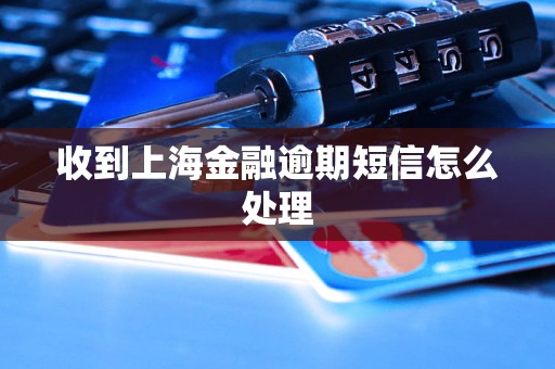 收到上海金融逾期短信怎么处理