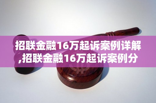 招联金融16万起诉案例详解,招联金融16万起诉案例分析