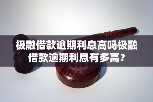 极融借款逾期利息高吗极融借款逾期利息有多高？