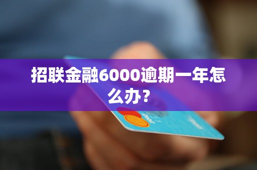 招联金融6000逾期一年怎么办？