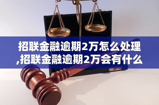 招联金融逾期2万怎么处理,招联金融逾期2万会有什么后果