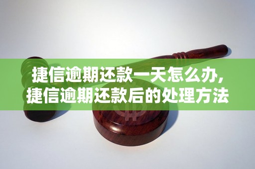 捷信逾期还款一天怎么办,捷信逾期还款后的处理方法