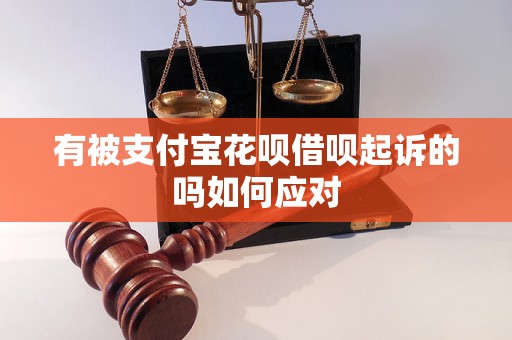 有被支付宝花呗借呗起诉的吗如何应对