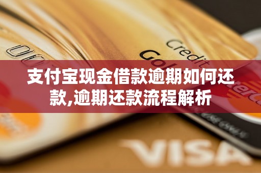 支付宝现金借款逾期如何还款,逾期还款流程解析