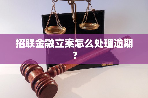 招联金融立案怎么处理逾期？