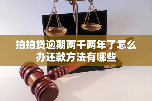 拍拍贷逾期两千两年了怎么办还款方法有哪些