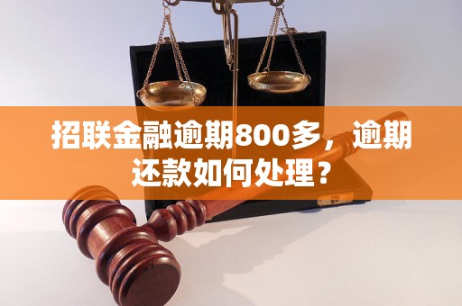 招联金融逾期800多，逾期还款如何处理？