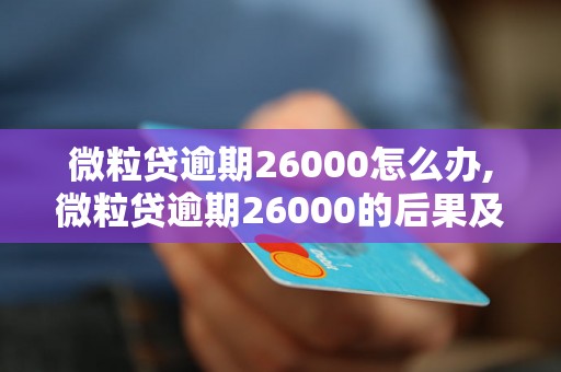 微粒贷逾期26000怎么办,微粒贷逾期26000的后果及解决方法