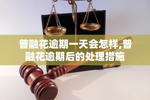 普融花逾期一天会怎样,普融花逾期后的处理措施