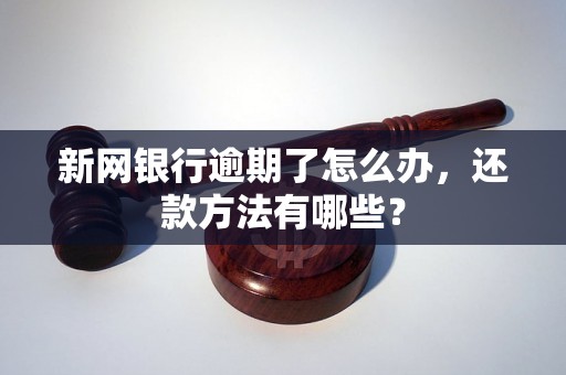 新网银行逾期了怎么办，还款方法有哪些？