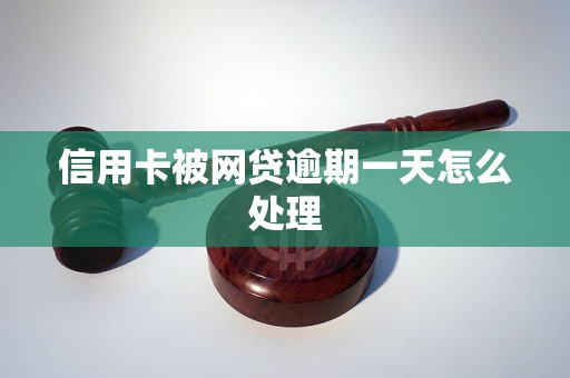 信用卡被网贷逾期一天怎么处理