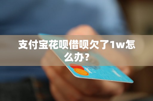 支付宝花呗借呗欠了1w怎么办？