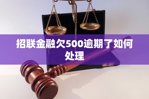 招联金融欠500逾期了如何处理