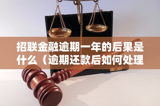 招联金融逾期一年的后果是什么（逾期还款后如何处理）