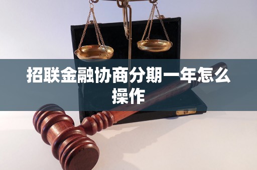 招联金融协商分期一年怎么操作