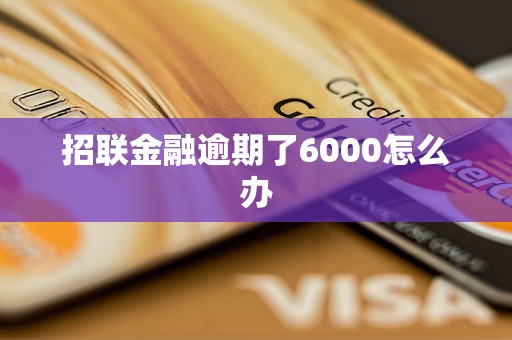 招联金融逾期了6000怎么办