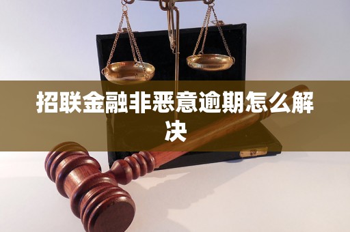 招联金融非恶意逾期怎么解决