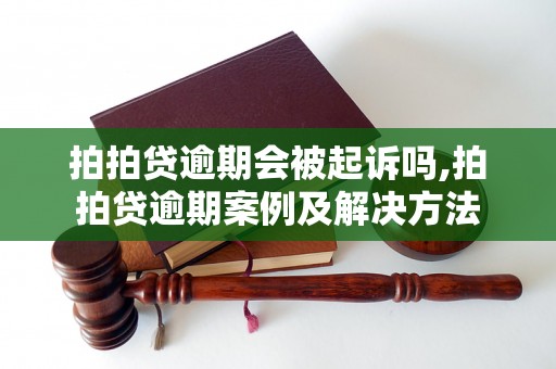 拍拍贷逾期会被起诉吗,拍拍贷逾期案例及解决方法