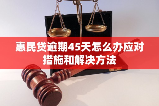 惠民贷逾期45天怎么办应对措施和解决方法