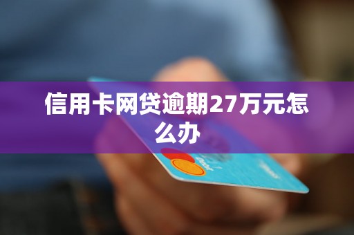 信用卡网贷逾期27万元怎么办