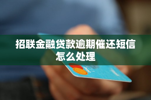 招联金融贷款逾期催还短信怎么处理