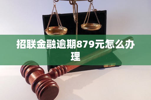 招联金融逾期879元怎么办理