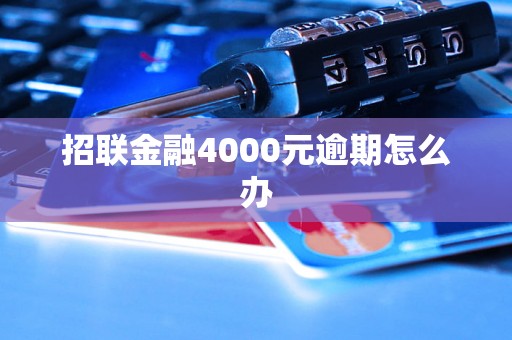 招联金融4000元逾期怎么办