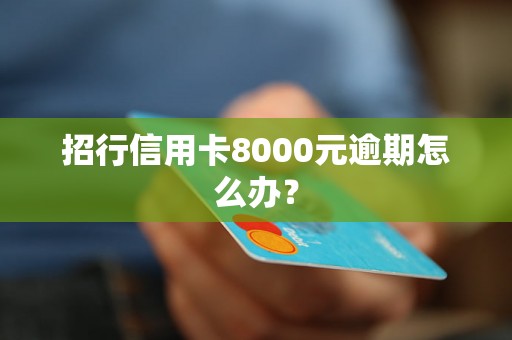 招行信用卡8000元逾期怎么办？