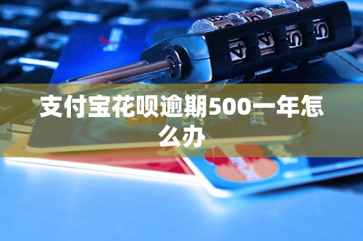 支付宝花呗逾期500一年怎么办