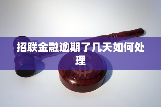 招联金融逾期了几天如何处理