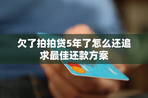 欠了拍拍贷5年了怎么还追求最佳还款方案